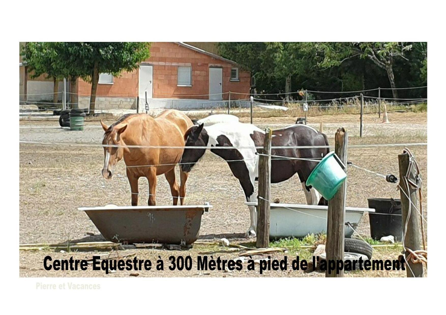 Avec Piscine. Monflanquin